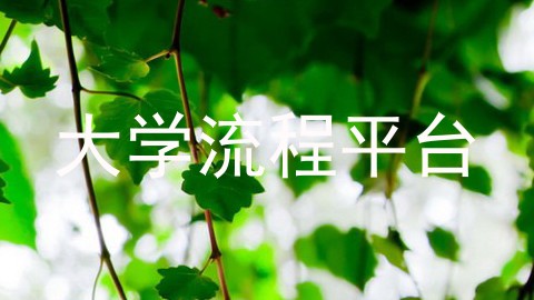 大学流程平台