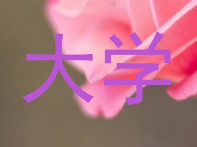 大学
