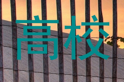 高校