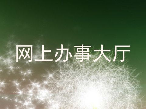 网上办事大厅
