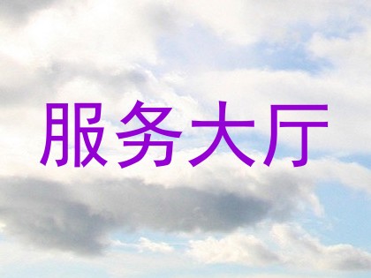 服务大厅