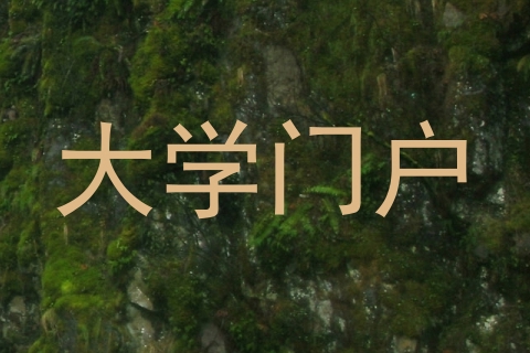 大学门户