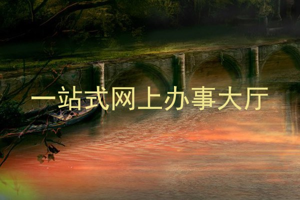 一站式网上办事大厅