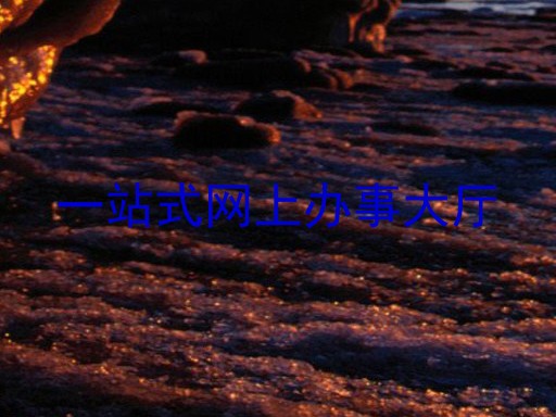 一站式网上办事大厅
