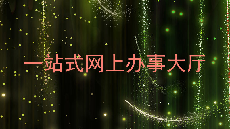 一站式网上办事大厅