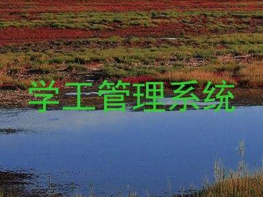 学工管理系统