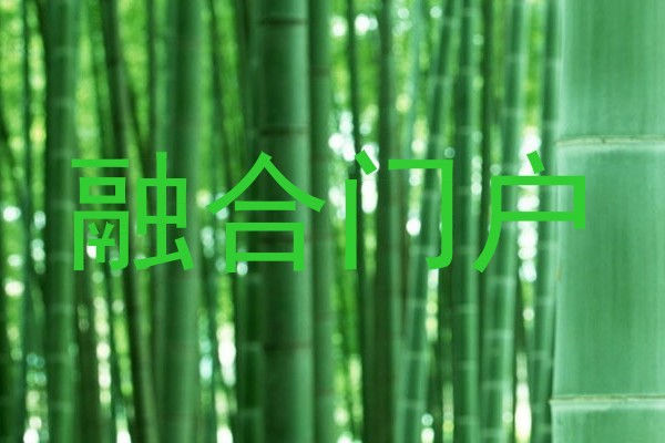 融合门户