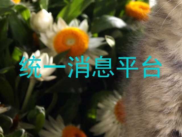 统一消息平台