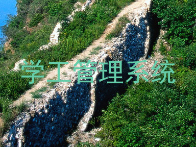学工管理系统