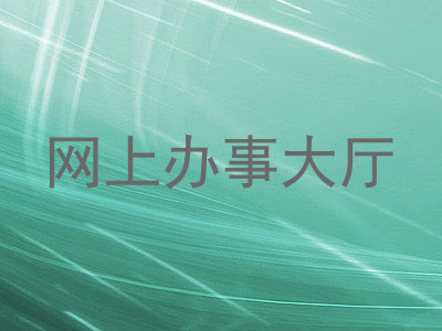 网上办事大厅