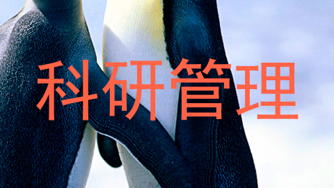 科研管理