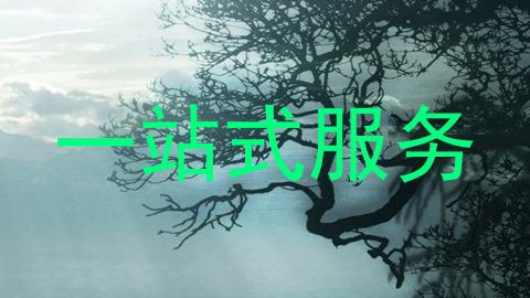 一站式服务