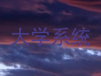 大学系统
