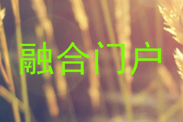 融合门户