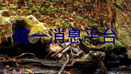 统一消息平台