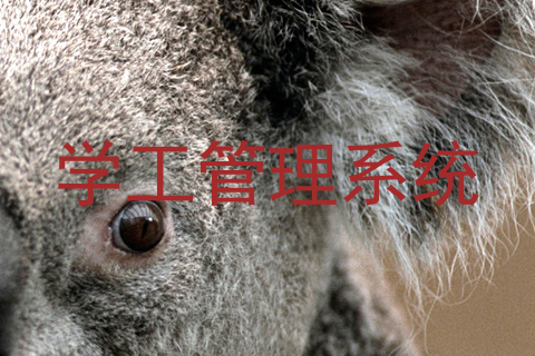 学工管理系统