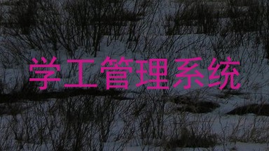 学工管理系统