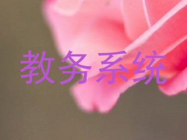 教务系统