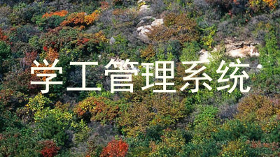 学工管理系统
