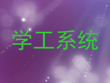 学工系统