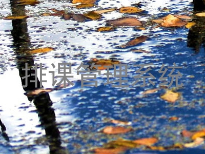 排课管理系统