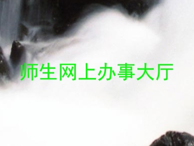 师生网上办事大厅