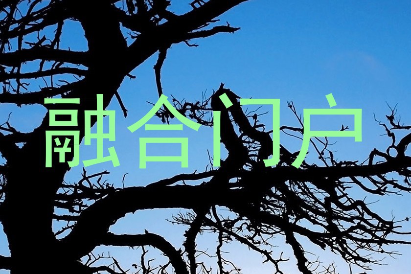 融合门户