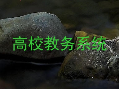 高校教务系统