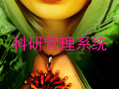 科研管理系统
