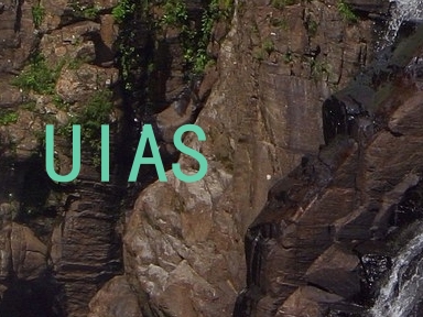 UIAS