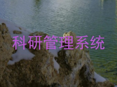 科研管理系统