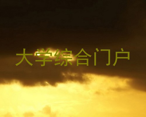 大学综合门户