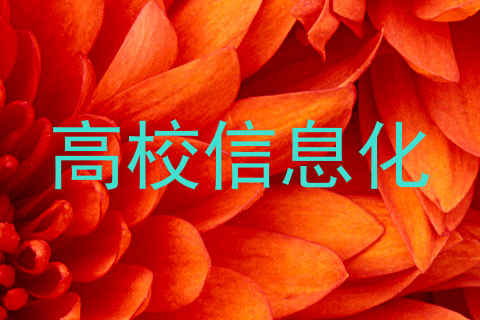 高校信息化