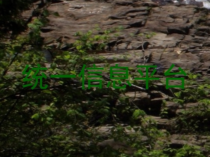 统一信息平台