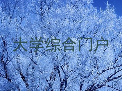 大学综合门户