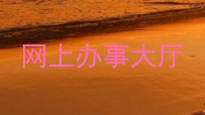 网上办事大厅