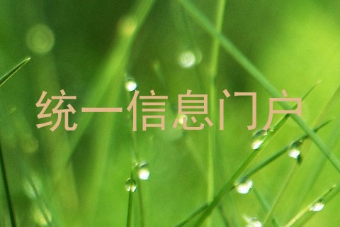 统一信息门户