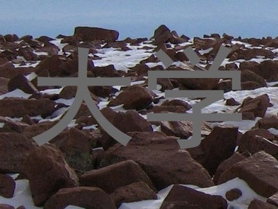 大学