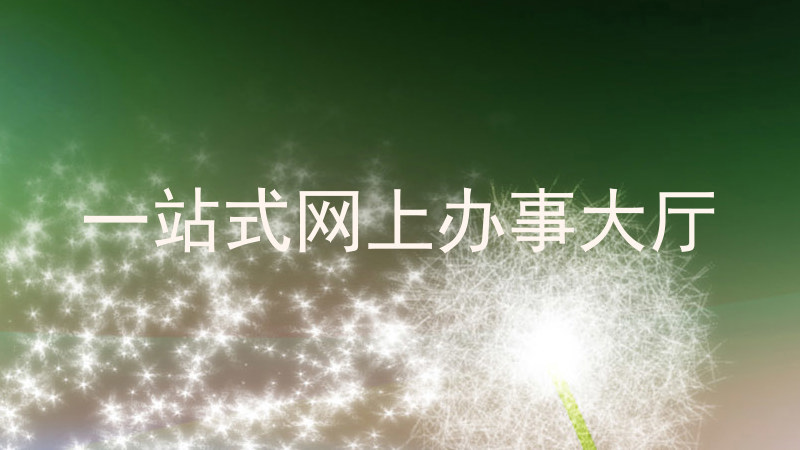 一站式网上办事大厅