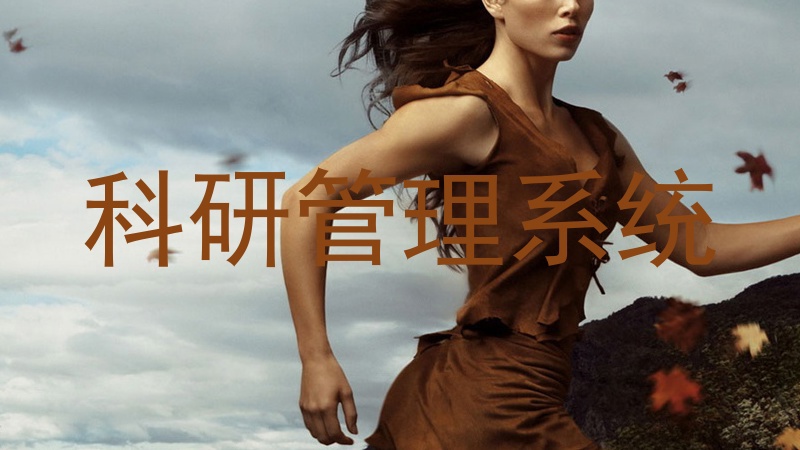 科研管理系统
