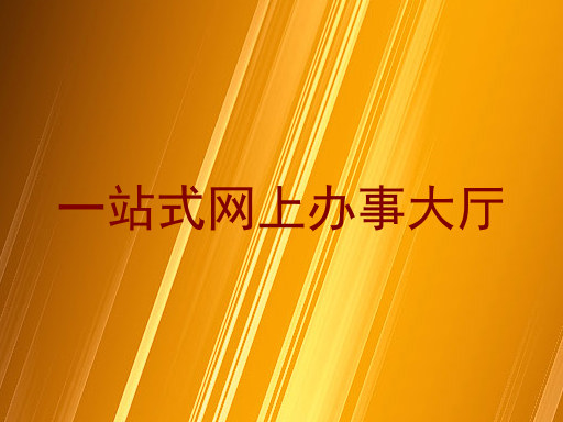 一站式网上办事大厅