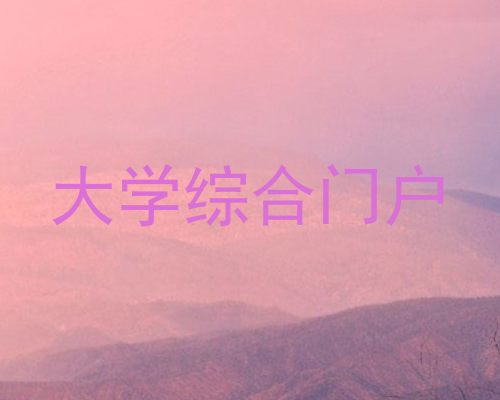 大学综合门户