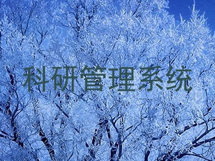 科研管理系统