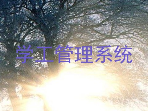 学工管理系统