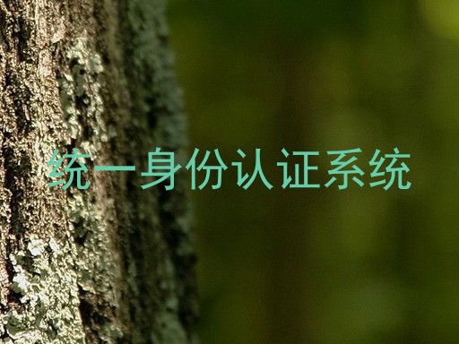 统一身份认证系统