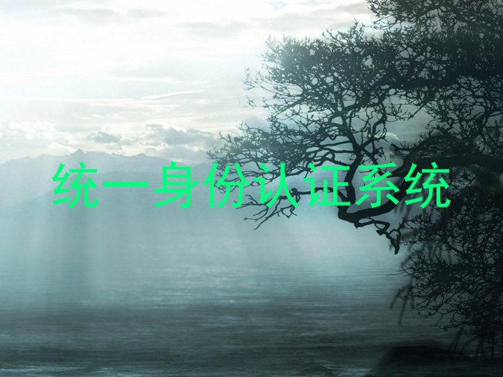 统一身份认证系统