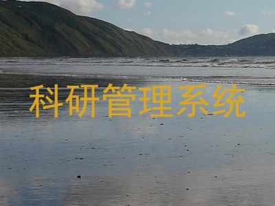 科研管理系统