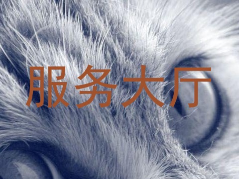 服务大厅