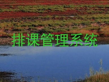 排课管理系统