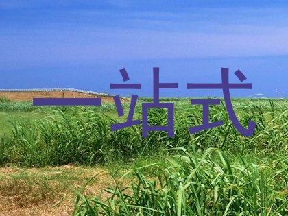 一站式